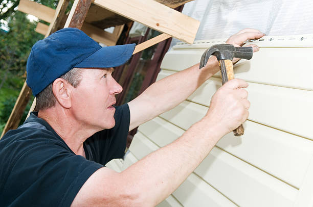 Best Vinyl Siding Installation  in Barry, IL