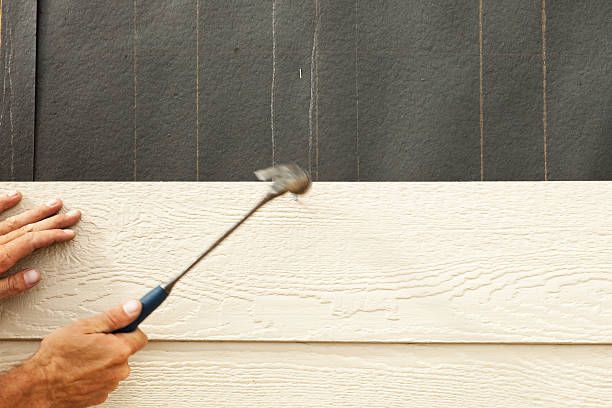 Best Insulated Siding Installation  in Barry, IL